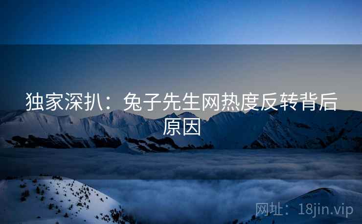 独家深扒：兔子先生网热度反转背后原因