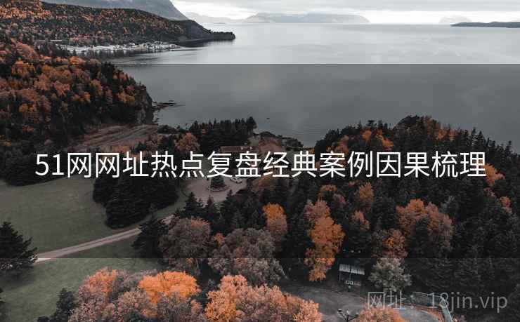 51网网址热点复盘经典案例因果梳理