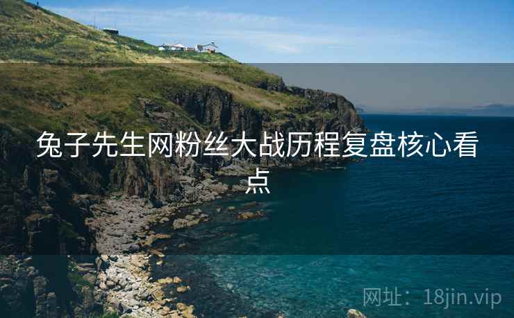 兔子先生网粉丝大战历程复盘核心看点