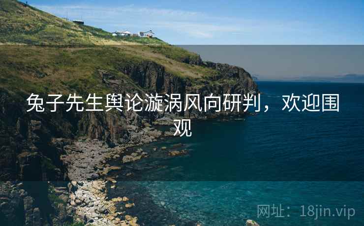兔子先生舆论漩涡风向研判，欢迎围观