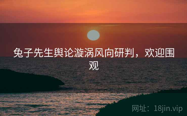 兔子先生舆论漩涡风向研判，欢迎围观
