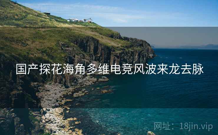 国产探花海角多维电竞风波来龙去脉