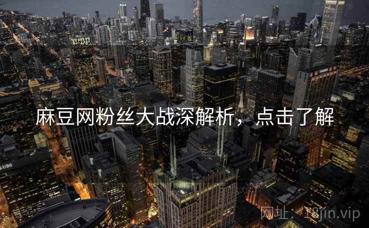 麻豆网粉丝大战深解析，点击了解
