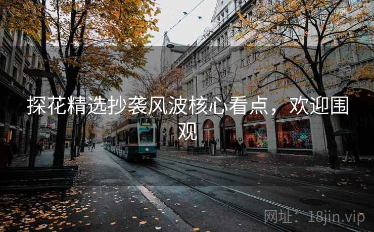探花精选抄袭风波核心看点，欢迎围观