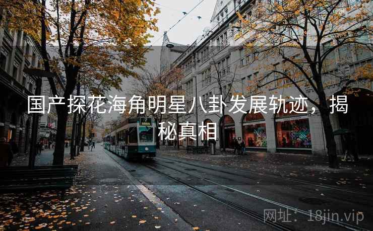 国产探花海角明星八卦发展轨迹，揭秘真相