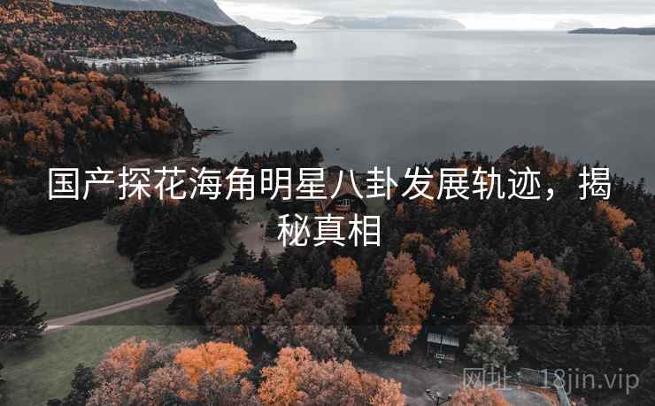 国产探花海角明星八卦发展轨迹，揭秘真相